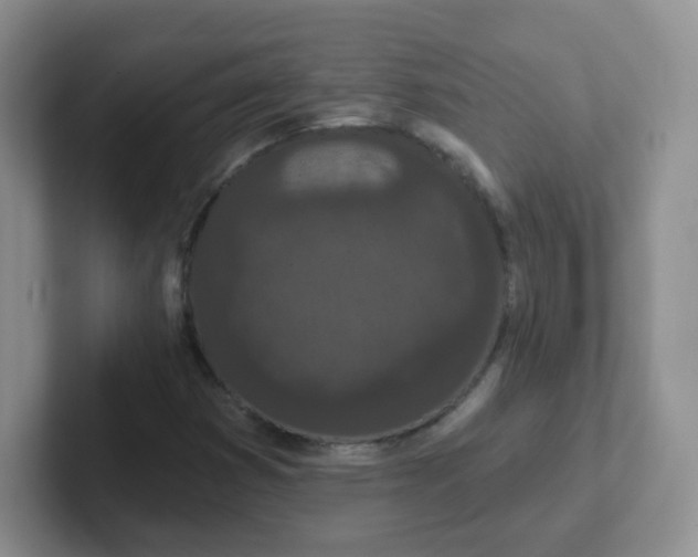 X0000102311353200808081556