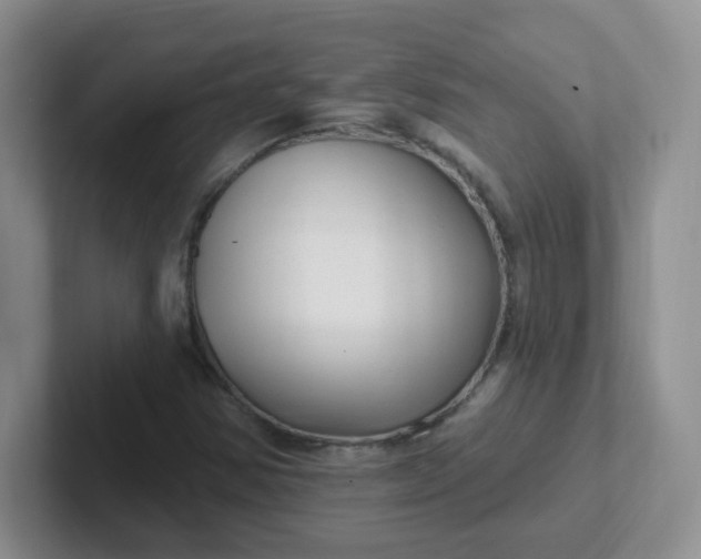 X0000102311354200808081556