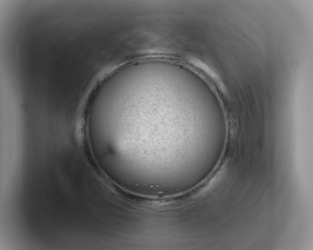 X0000102311357200808081556