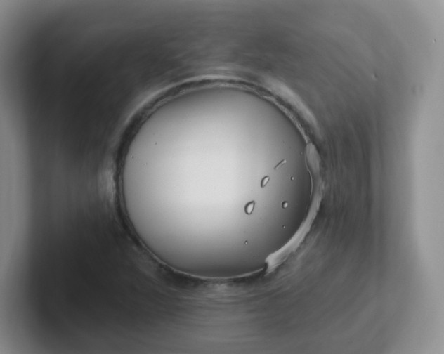 X0000102311360200808081556