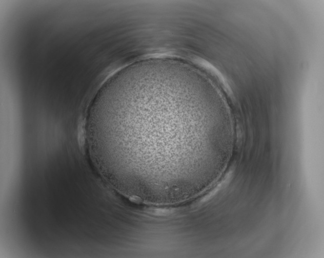 X0000102311361200808081556