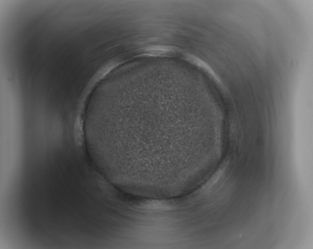 X0000102311362200808081556