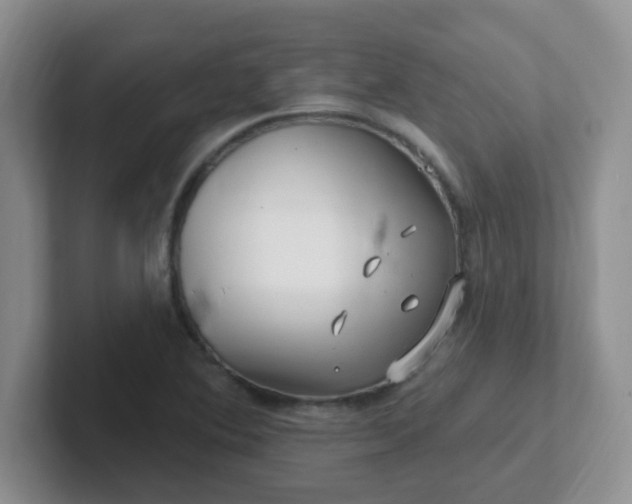 X0000102311364200808081556