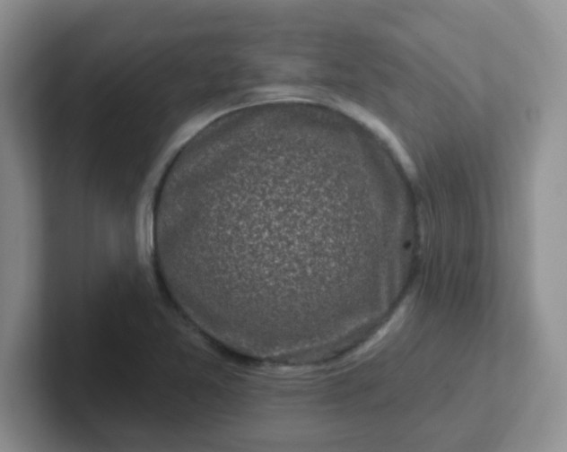 X0000102311365200808081556