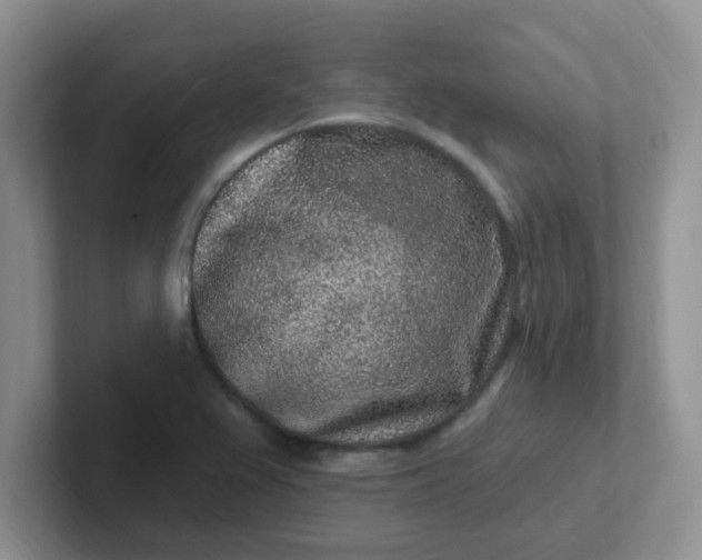 X0000102311367200808081556