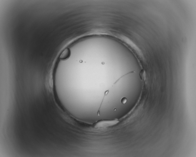 X0000102311372200808081556