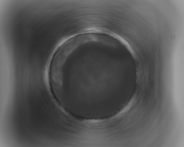 X0000102311373200808081556