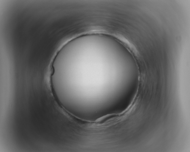 X0000102311374200808081556