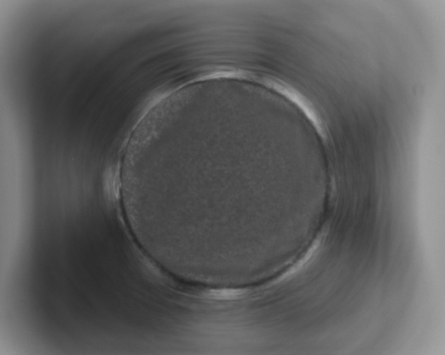 X0000102311377200808081556