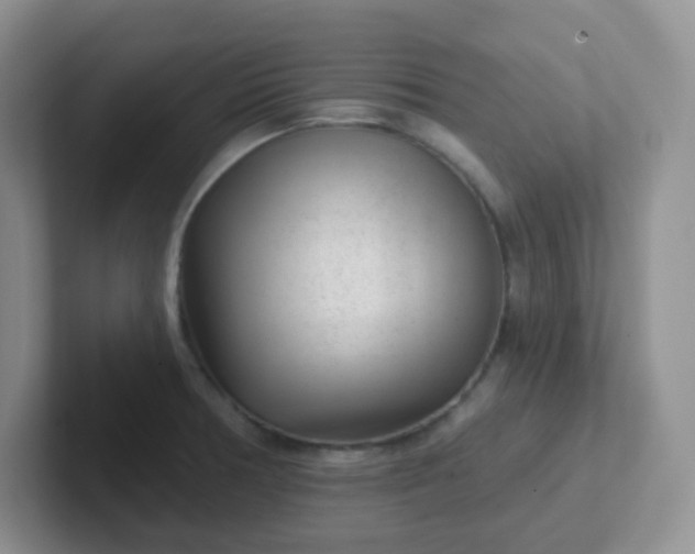 X0000102311378200808081556