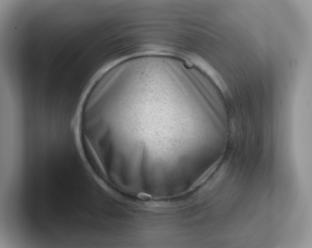 X0000102311379200808081556