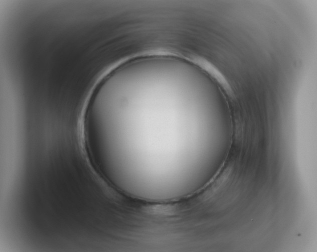 X0000102311380200808081556