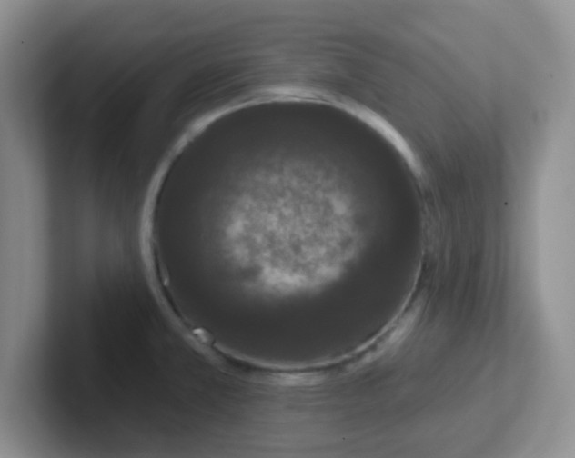 X0000102311381200808081556