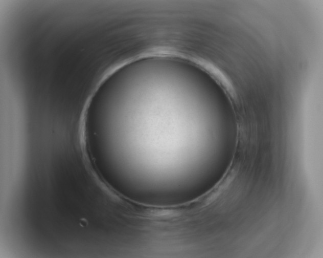 X0000102311382200808081556