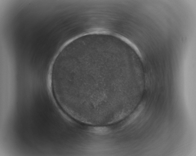 X0000102311383200808081556