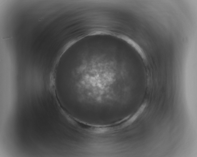 X0000102311385200808081556