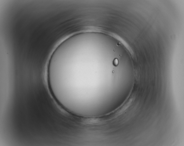 X0000102311387200808081556