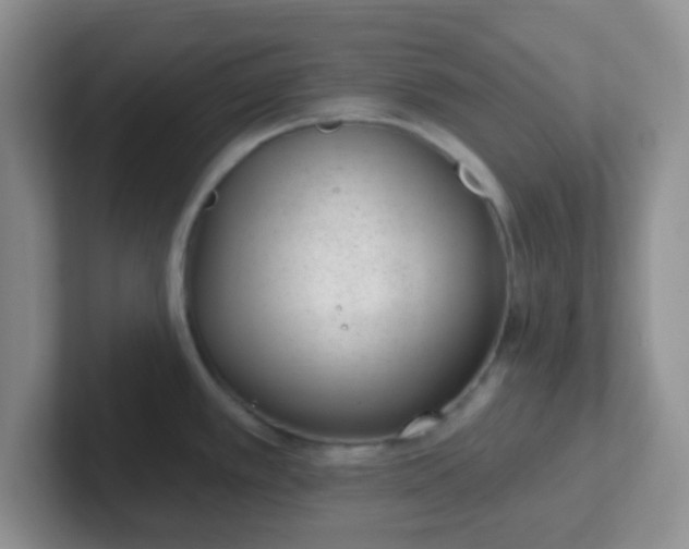 X0000102311389200808081556