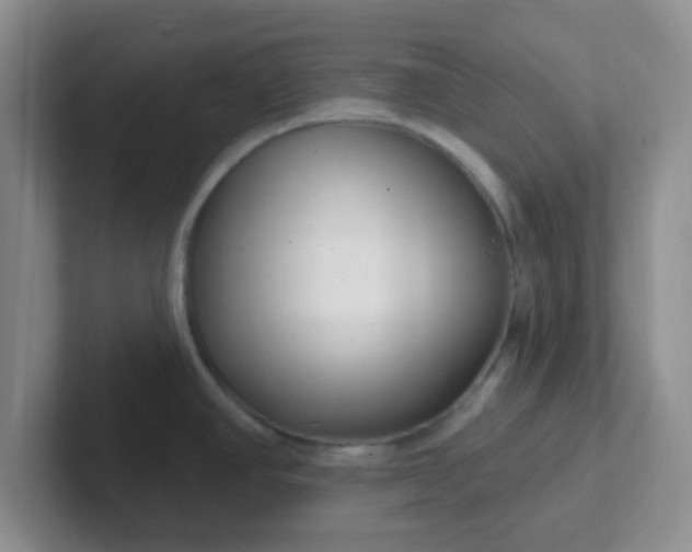 X0000102311390200808081556