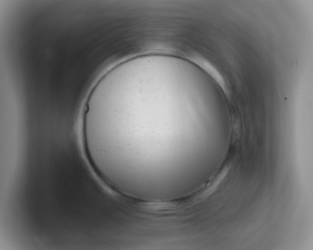 X0000102311391200808081556