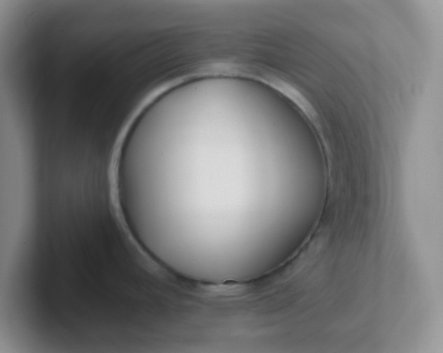 X0000102311392200808081556