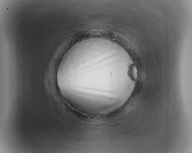 X0000102311393200808081555