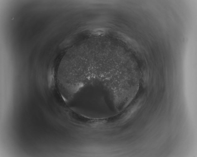 X0000102311394200808081555