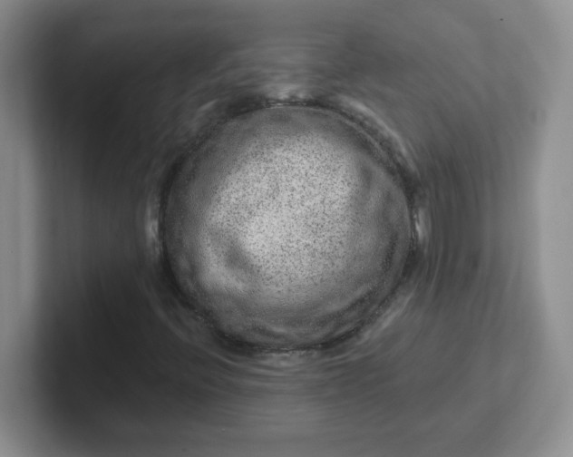 X0000102311396200808081555