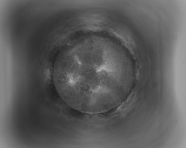 X0000102311397200808081555