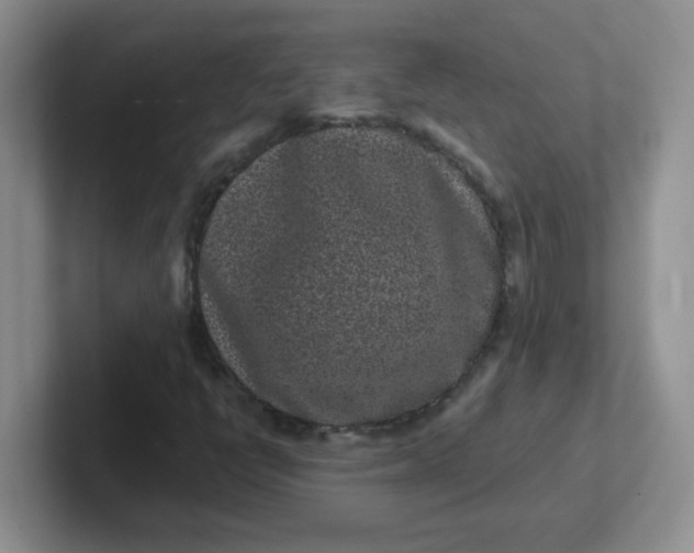 X0000102311398200808081555