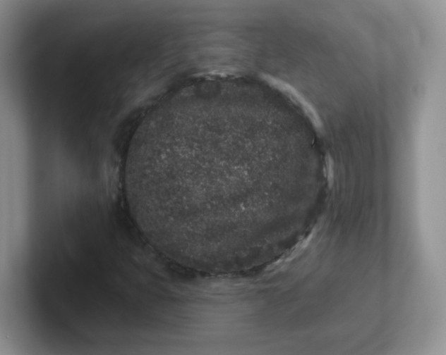 X0000102311399200808081555