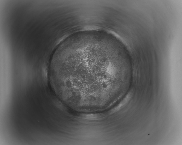 X0000102311401200808081555