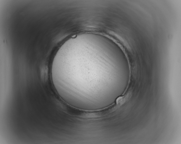 X0000102311402200808081555