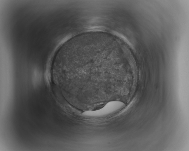 X0000102311405200808081555