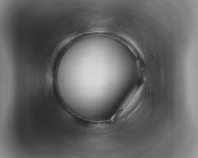 X0000102311406200808081555