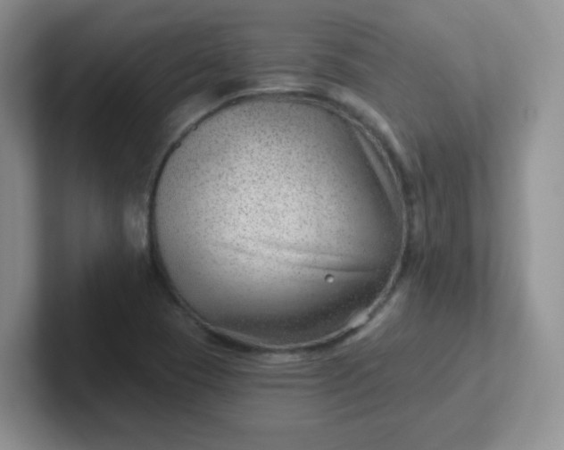 X0000102311409200808081555