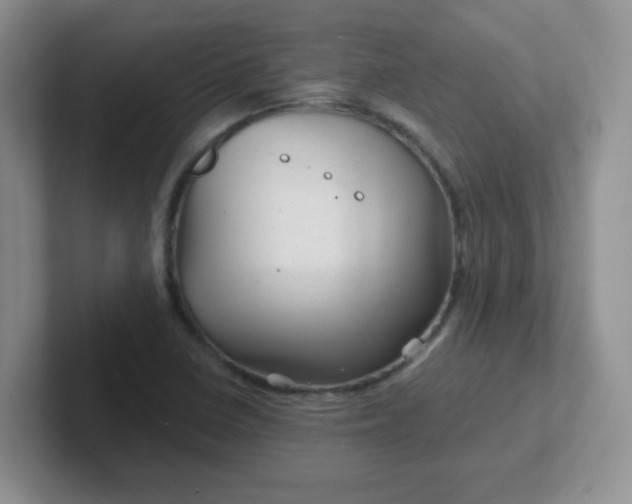 X0000102311410200808081555