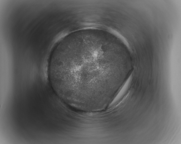 X0000102311411200808081556