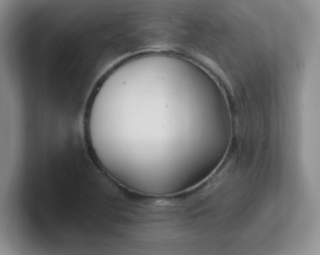 X0000102311412200808081556