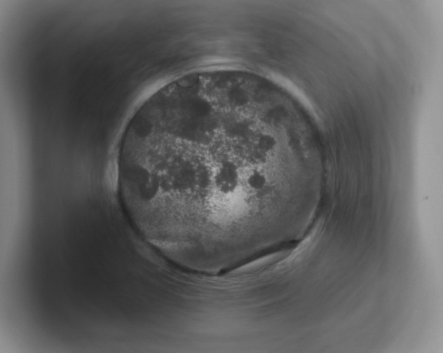 X0000102311413200808081556