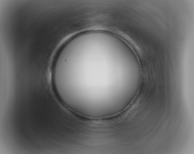 X0000102311416200808081556