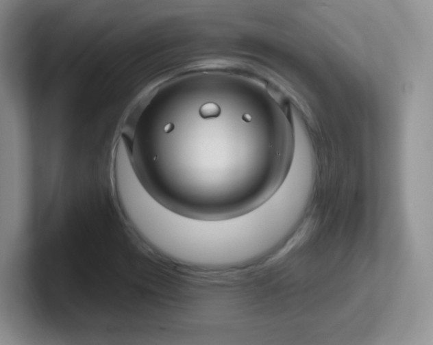 X0000102311417200808081556