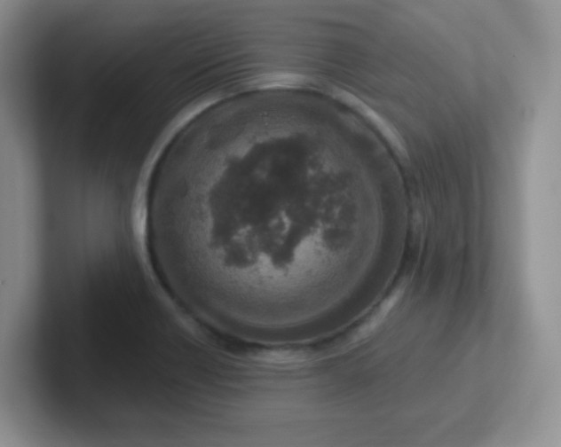 X0000102311418200808081556