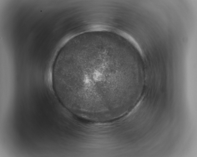 X0000102311419200808081556