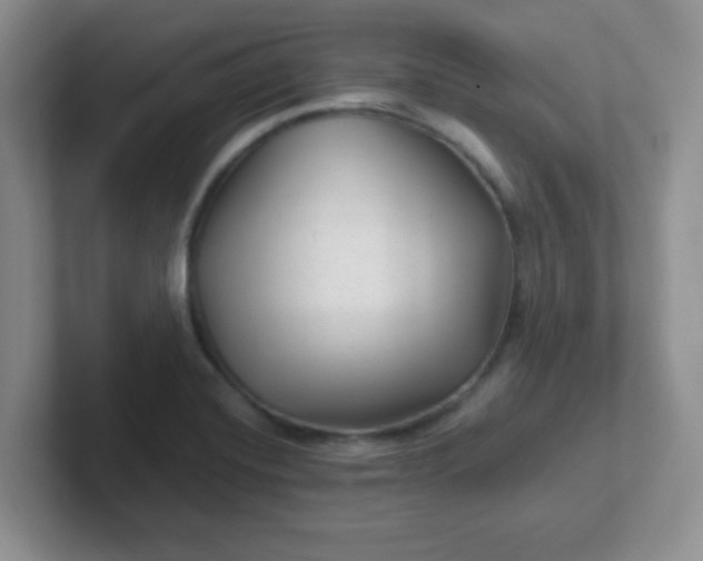 X0000102311420200808081556