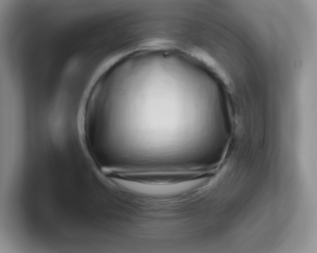 X0000102311421200808081556