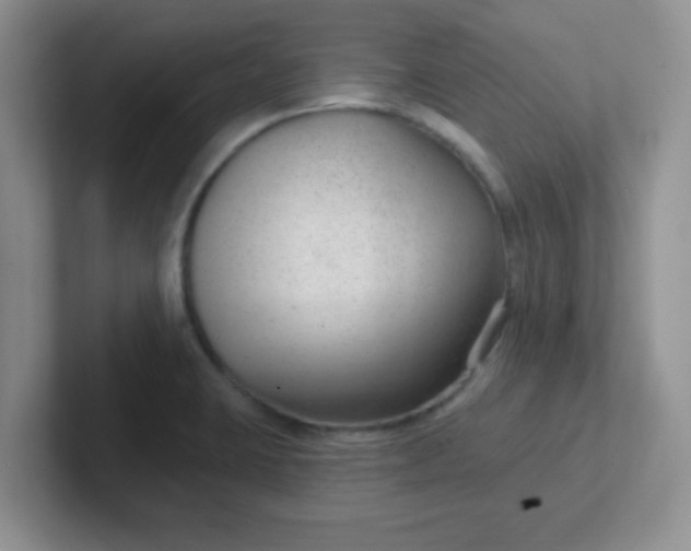 X0000102311423200808081556