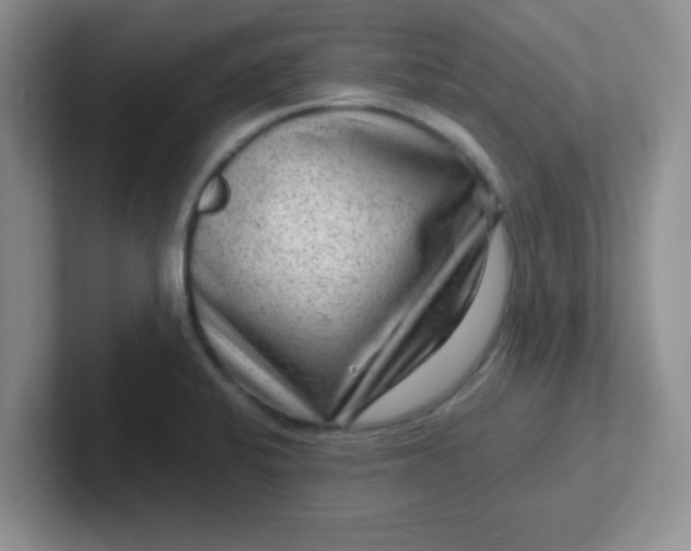 X0000102311424200808081556