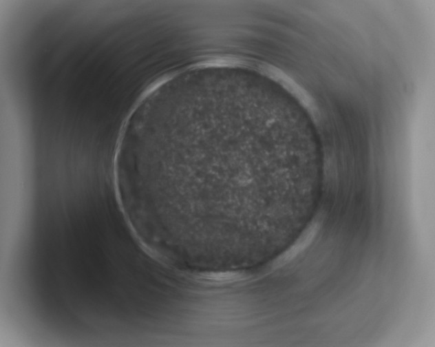 X0000102311425200808081556