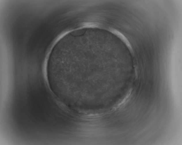 X0000102311427200808081556